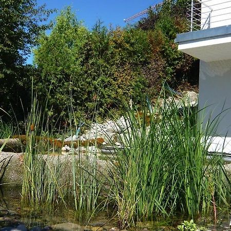 N1 Standalone House Baden Apartment Hertenstein Екстериор снимка
