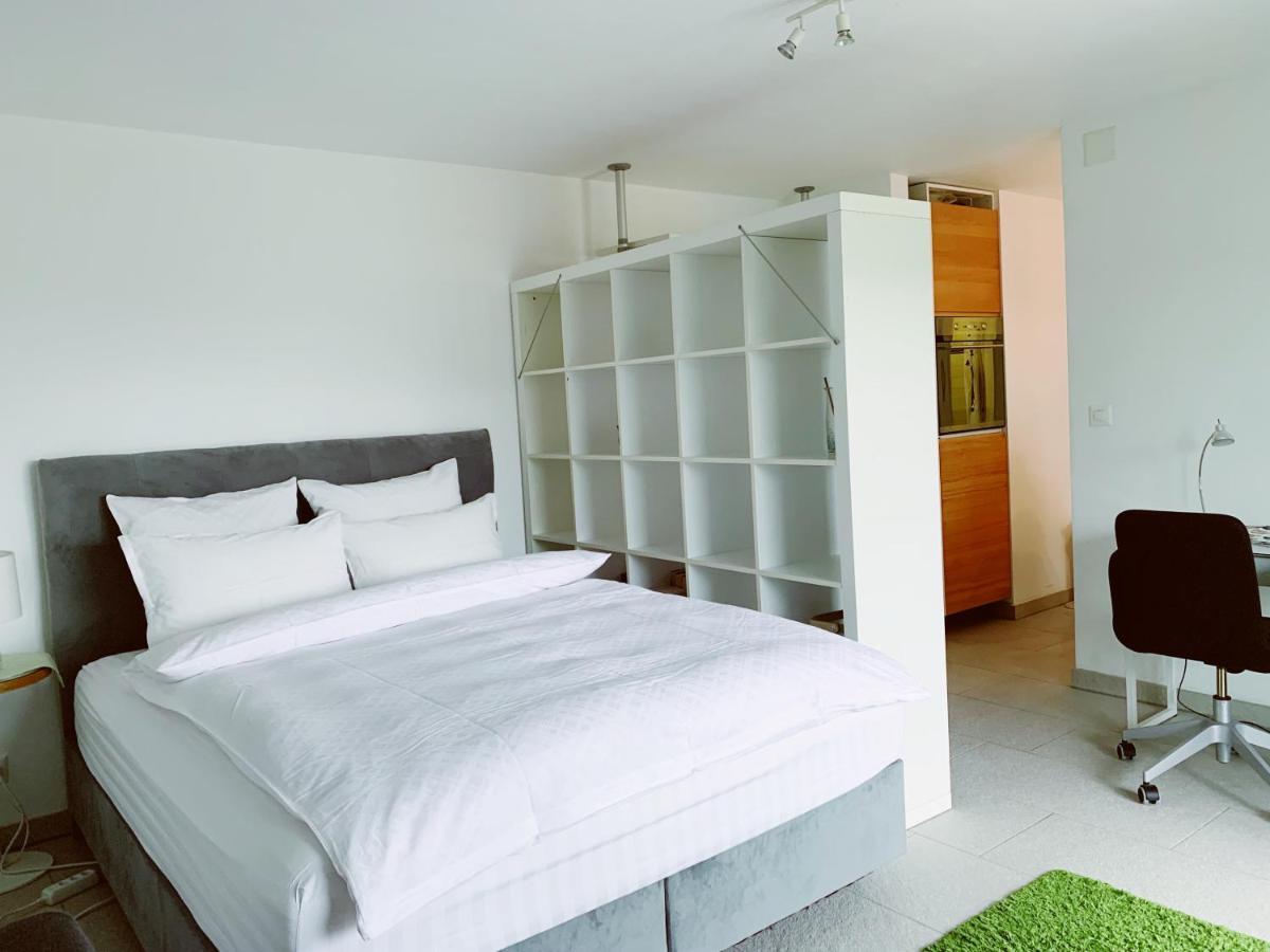 N1 Standalone House Baden Apartment Hertenstein Екстериор снимка