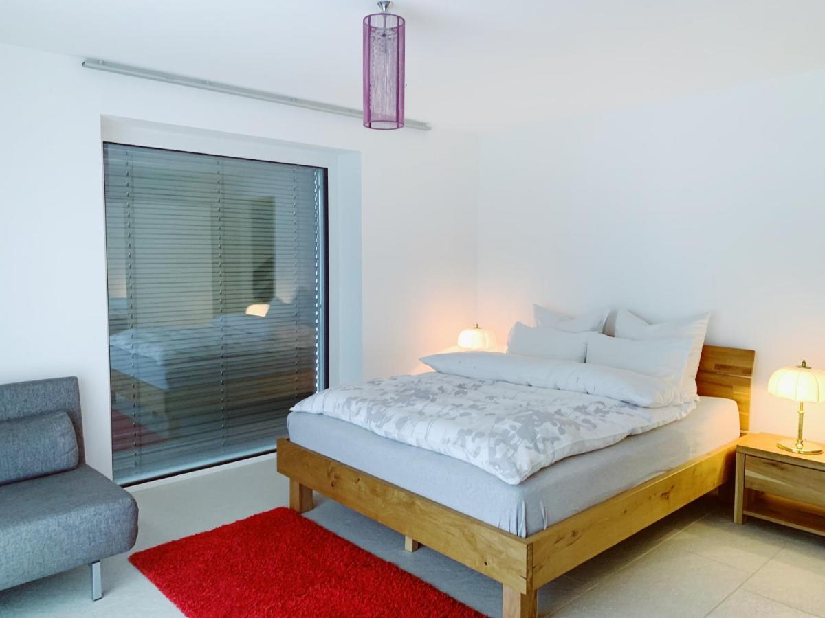 N1 Standalone House Baden Apartment Hertenstein Екстериор снимка