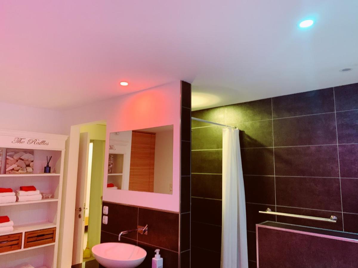 N1 Standalone House Baden Apartment Hertenstein Екстериор снимка