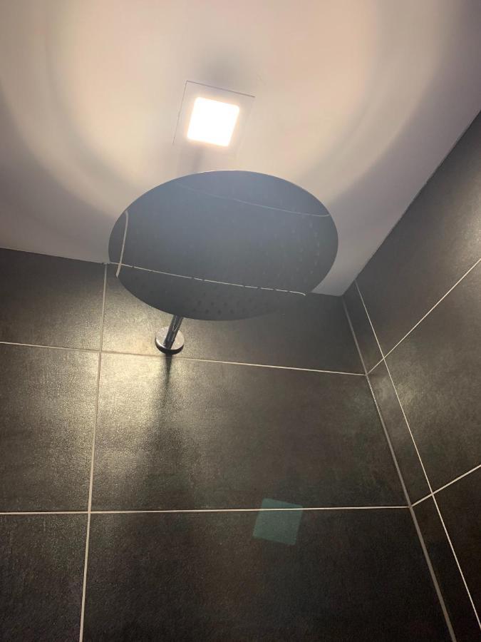 N1 Standalone House Baden Apartment Hertenstein Екстериор снимка