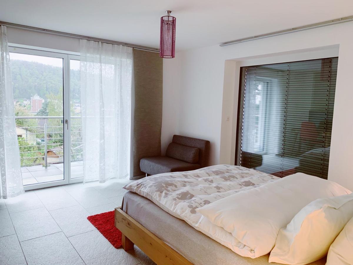 N1 Standalone House Baden Apartment Hertenstein Екстериор снимка