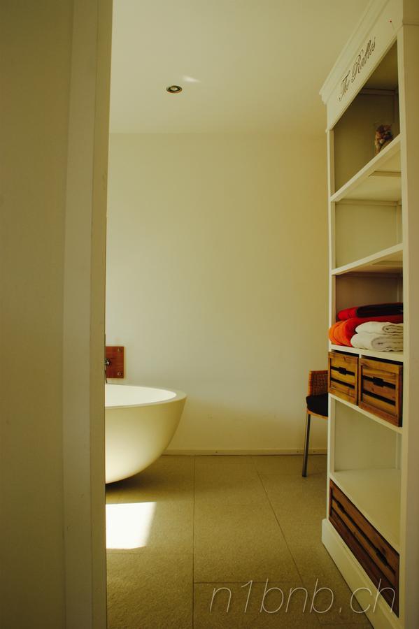 N1 Standalone House Baden Apartment Hertenstein Екстериор снимка